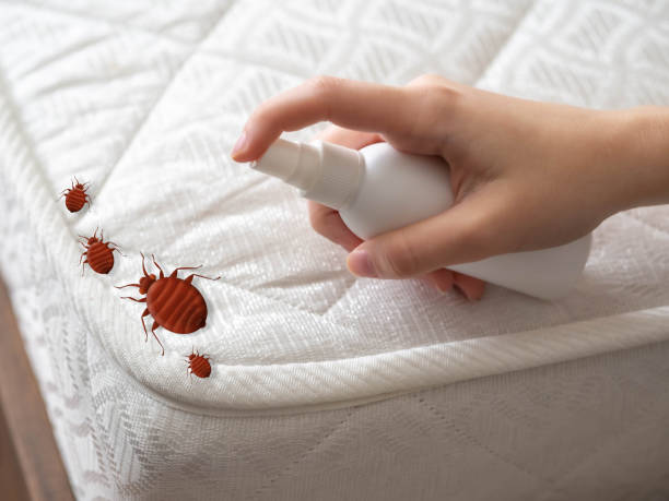 Best Indoor Pest Control  in Colony Rk, PA